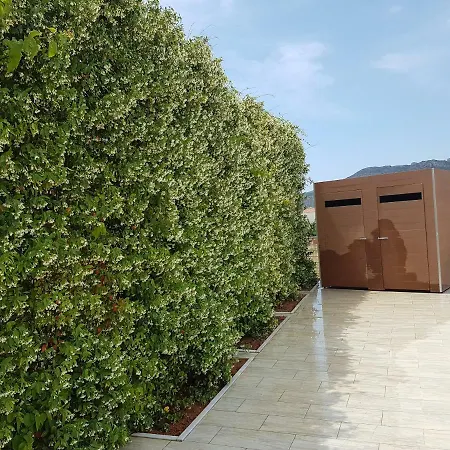Отель Plytra Mare 3*